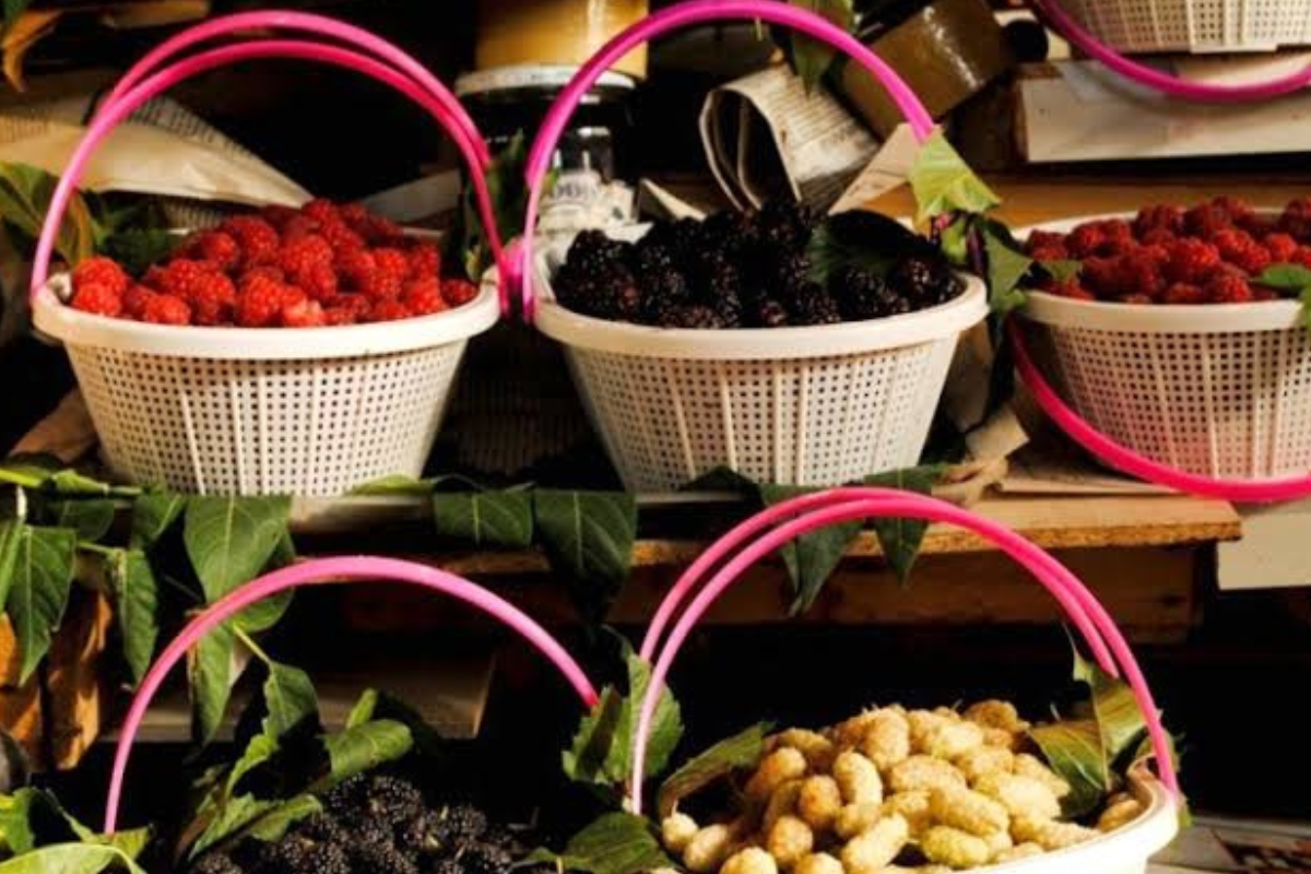 Գորիսի թթի փառատոնը 