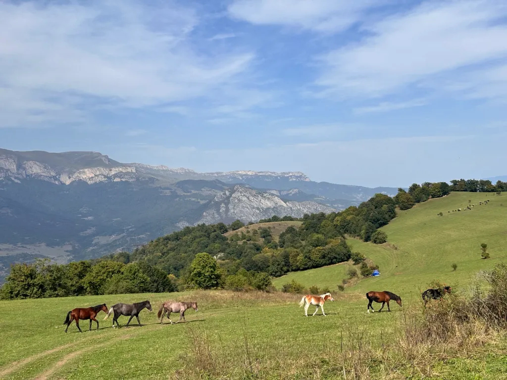 Dilijan