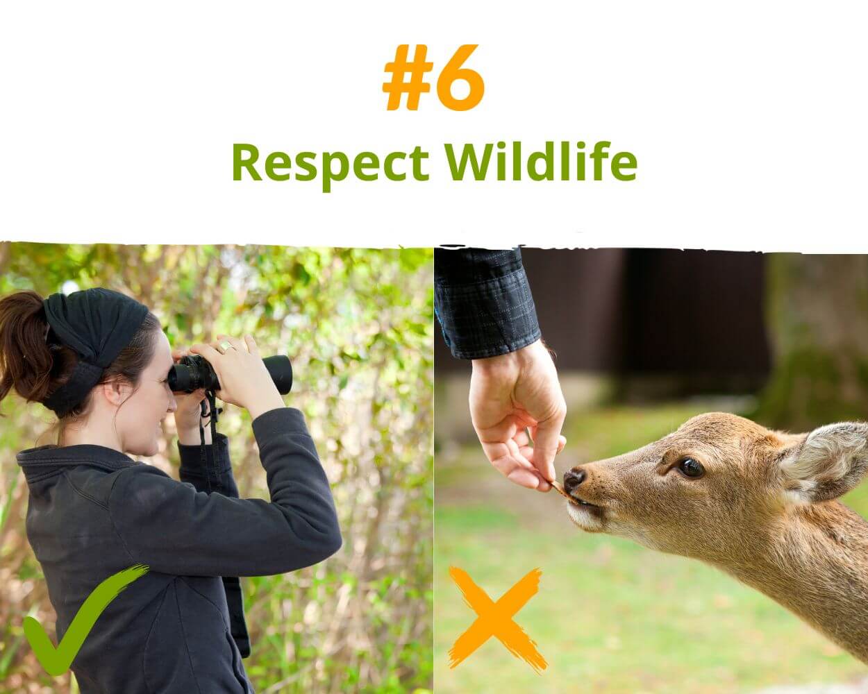 7-key-principles-for-responsible-hikers-6 7-key-principles-for-responsible-hikers-6