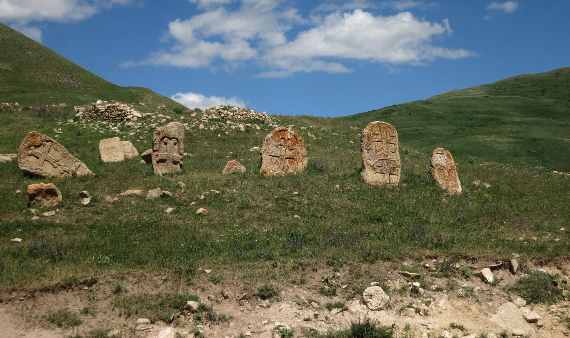 Bezoar Goat Trail