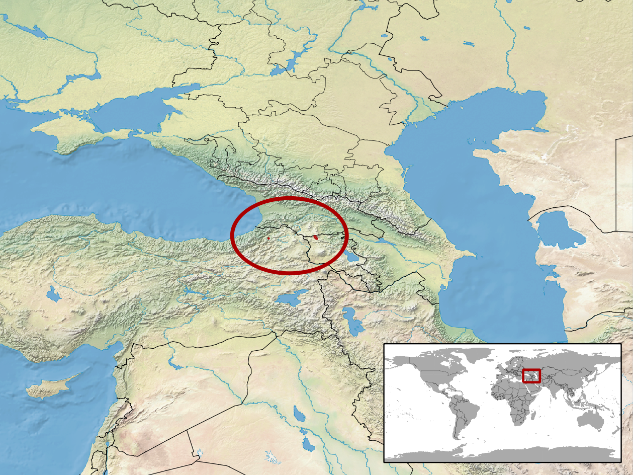 Vipera_darevskii_distribution